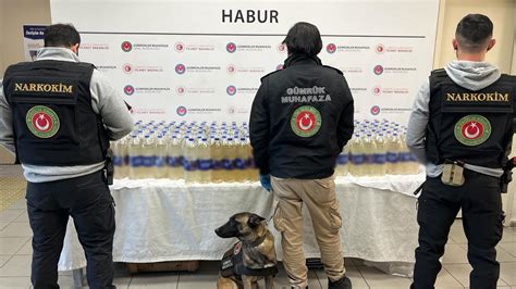 Habur Gümrük Kapısı'nda 345 kilogram sıvı metamfetamin ele geçirildi - Son Dakika Haberleri